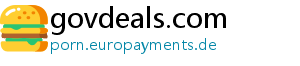 govdeals.com